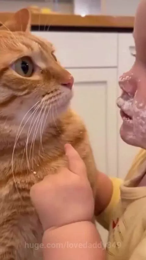 Baby with white substance on face gently touching an orange tabby cat's face, making a pinky promise gesture.