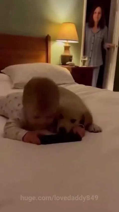 Baby and golden retriever puppy lie on a bed looking at a smartphone, pretending to sleep.