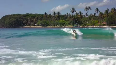 Surfer in dark attire riding a turquoise wave towards a tropical beach with palm trees and a clear sky.