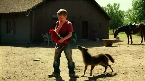 Young boy holding a rooster, a dog playfully grabs it, and the boy jumps on a horse.