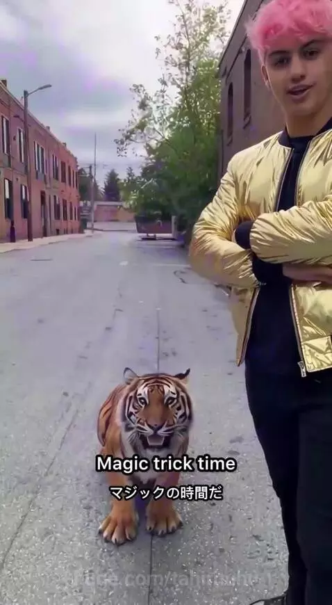 Man with pink hair and gold jacket stands next to a tiger that appeared from a dog via purple smoke.