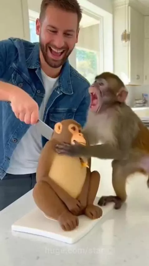 A distressed monkey screaming and hitting a hand while a man cuts a monkey-shaped cake.