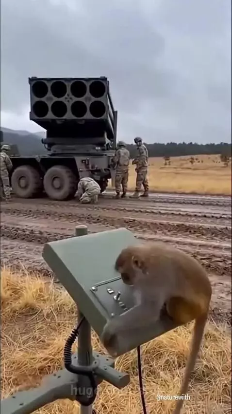 Monkey pressing a red button on a military vehicle's control panel, causing an explosion.