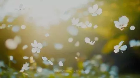 Young men in diverse settings contemplating life, symbolizing struggle and hope, with visuals of nature and growth.