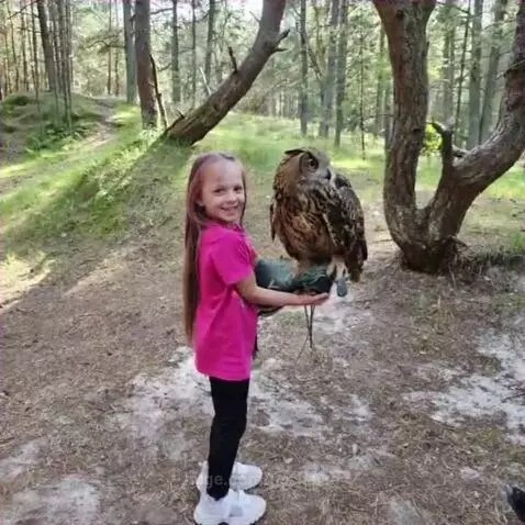 Young girl gently holding a Eurasian eagle-owl on her gloved hand outdoors.