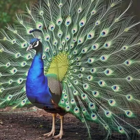 A baby sleeping peacefully on clouds, with a gentle lullaby playing.