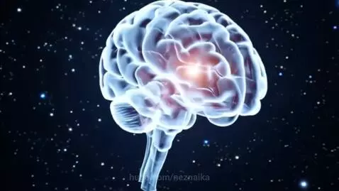 Abstract cosmic energy, spaceship near a black hole, and a glowing human brain.