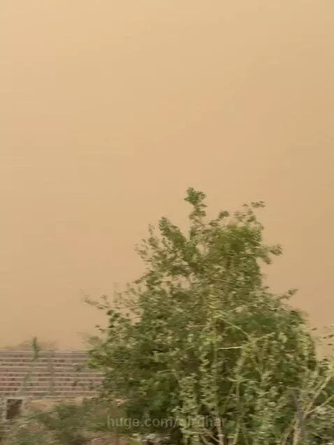 Dense orange-brown sandstorm with reduced visibility, showing swaying trees and obscured buildings.