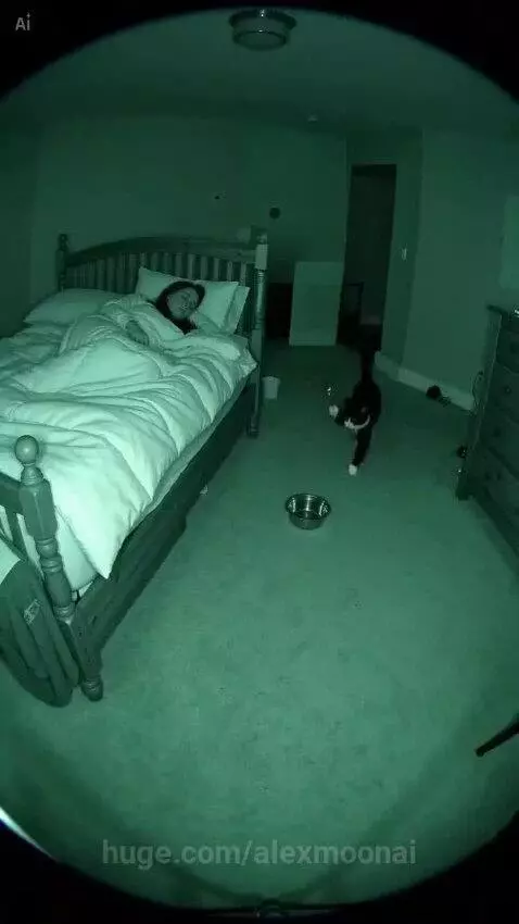 A cat repeatedly hitting a metal bowl with its paw in a bedroom to wake up its sleeping owner.