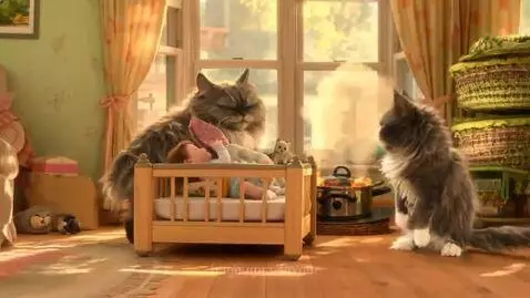 The brave cat by favour