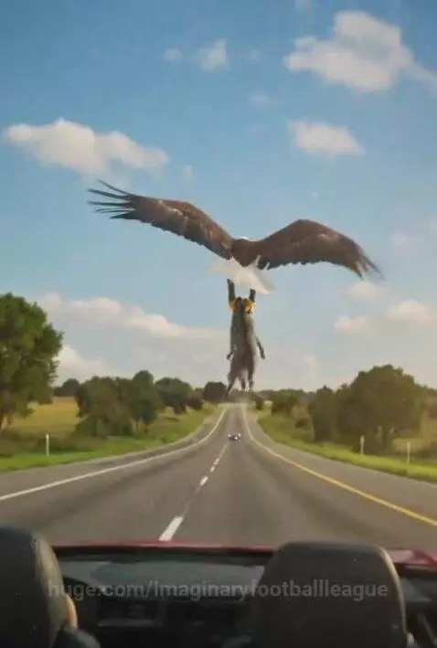 A bald eagle drops a cat onto a woman driving a red convertible. The cat lands on her chest as she screams.