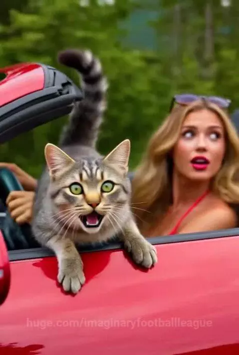 Tabby cat dropped by an eagle lands on the edge of a red convertible driven by a surprised woman.