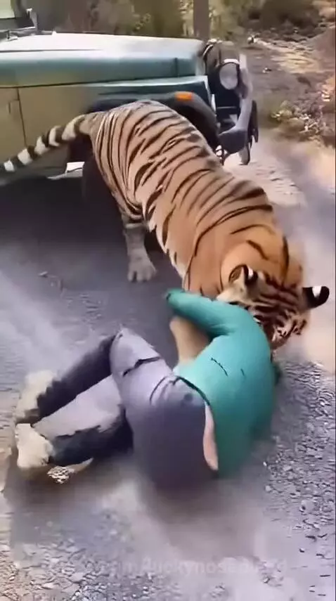 A lion attack on helpless Woman by luckynosebleed