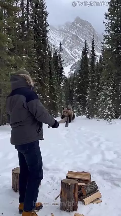 Man in a snowy forest hugging a large brown bear that is standing on its hind legs.