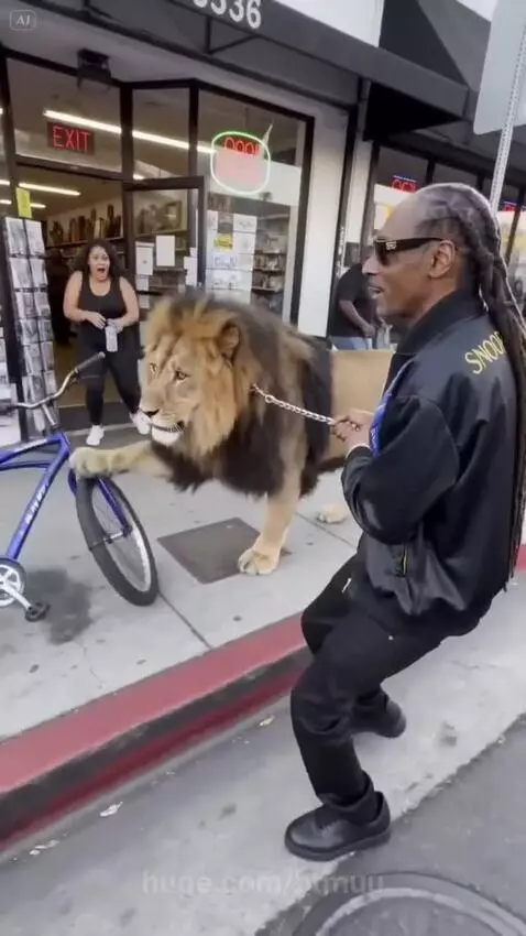 Snoop Dogg walking a large adult lion on a leash down a city sidewalk.