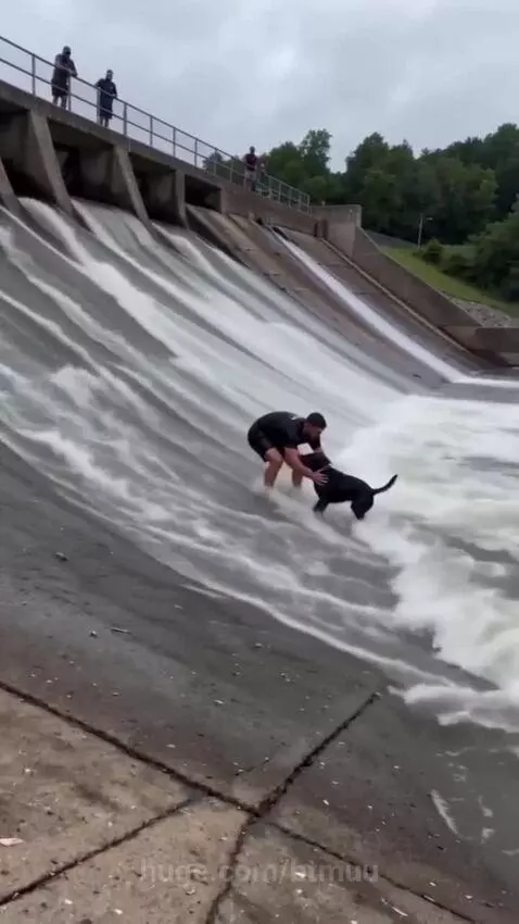 Man pulling a black dog up a dam with a rope, assisted by people on a bridge above.