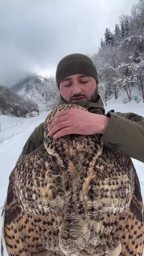 Man in green jacket and beanie holding a large Eurasian eagle-owl in a snowy mountainous area.