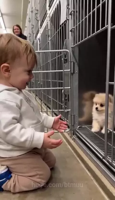 A smiling child kneels, reaching out to a small puppy in a cage at an animal shelter.