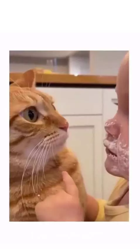 Baby with messy face gently touching an orange tabby cat's face while the cat looks on calmly.