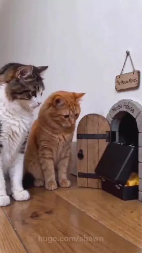Two cats watch as a mouse emerges from a tiny door with a briefcase.