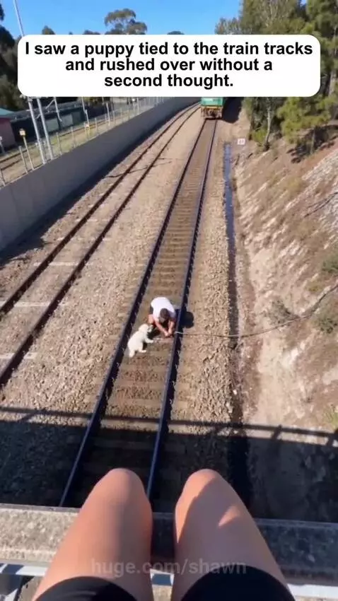 Person holding a small white puppy by the side of train tracks after a close call with an approaching train.