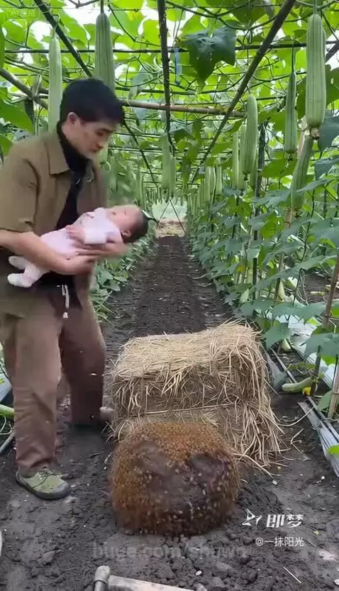 Family in garden, mother accidentally releases bees, father quickly covers baby and places it in a pot.