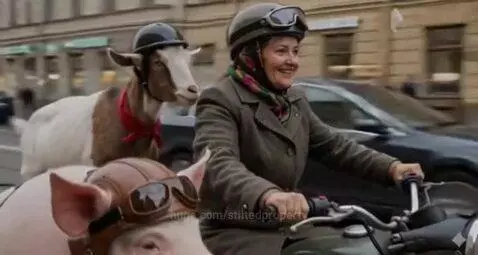 Woman riding a motorcycle with a pig in the sidecar and a goat on the back, all wearing helmets.