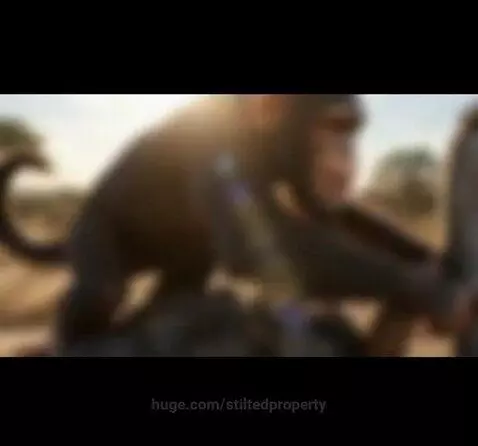 CGI monkey wearing a vest riding a running ostrich through a sunny savanna with kangaroos in the background.