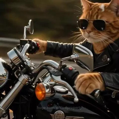 Two anthropomorphic ginger cats wearing sunglasses and leather jackets riding a motorcycle on a mountain road at sunset.