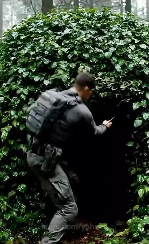 Man in tactical gear hides inside a spherical bush, camouflaging his entrance as pursuers with a dog pass by unaware.