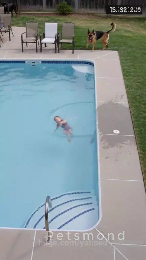 Moment when a baby fell into the pool and almost drowned but... by yaheed