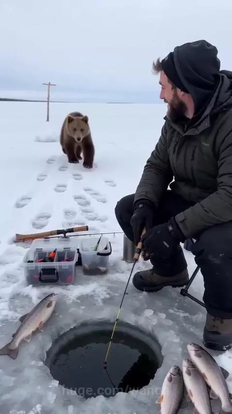 Man ice fishing on a frozen lake shares a hug with a brown bear named Charpy.
