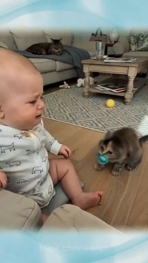 Adult cat gently places a pacifier back into a baby's mouth after a kitten took it.