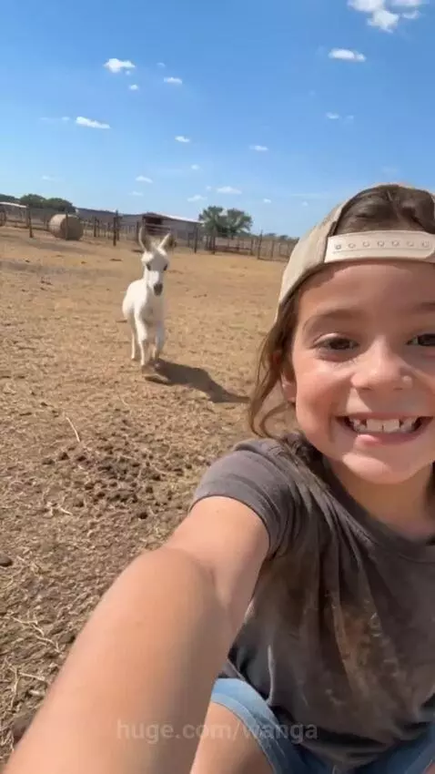 Young girl smiling and embracing a small goat in a sunny farm field, with a donkey nearby.