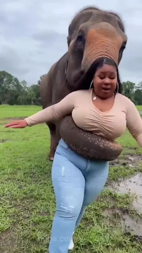 Woman in beige crop top and jeans laughing in a muddy puddle after an elephant playfully pushed her in.