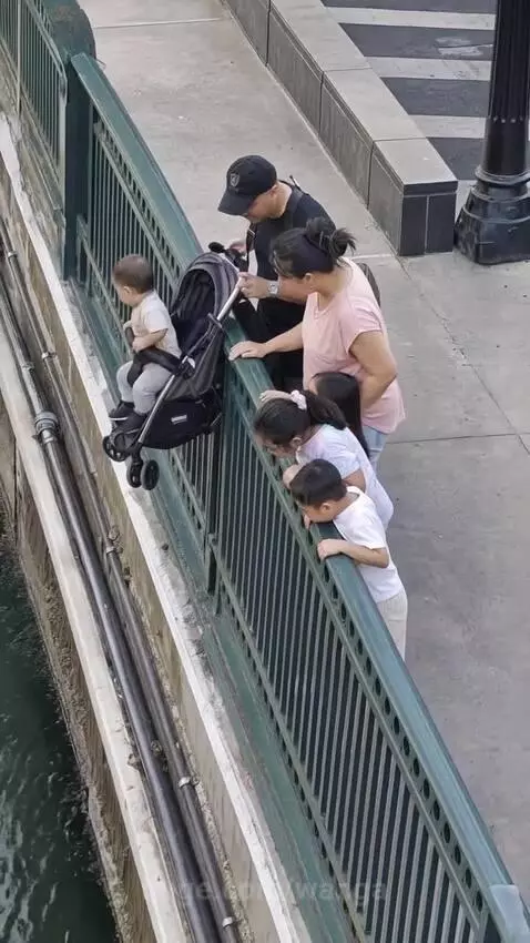 Baby in stroller leaning precariously over a bridge railing, with an adult reaching to pull them back.