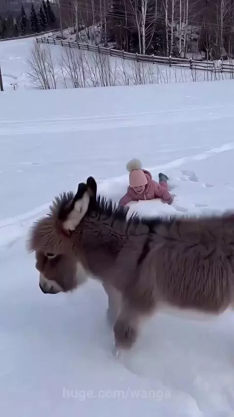 A child and a polite animal playing on the snow 🌨️❤️ by wanga