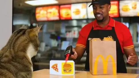 A cat happily eating french fries from a McDonald's container after receiving a cheeseburger.