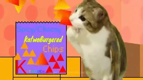 A cute tabby and white cat happily eating a chip next to a bag of KatwoBurgered Chips.