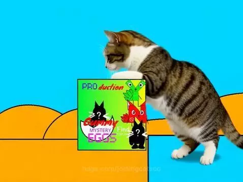 A tabby and white cat opening a box of colorful gummy eggs and taking one.