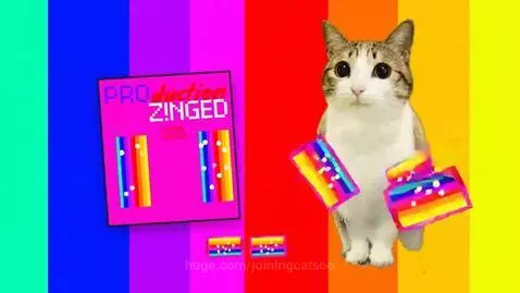 A wide-eyed tabby and white cat stands in front of a rainbow background with falling colorful stripe candies.
