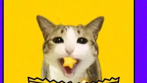 Cartoon cat with big eyes eating potato chips from a bag labeled 'PROduction CHIPKATS HEAVEN'.