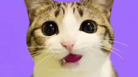 Animated tabby and white cat with large eyes licking lips next to a bag of KatwoBurgered Chips.