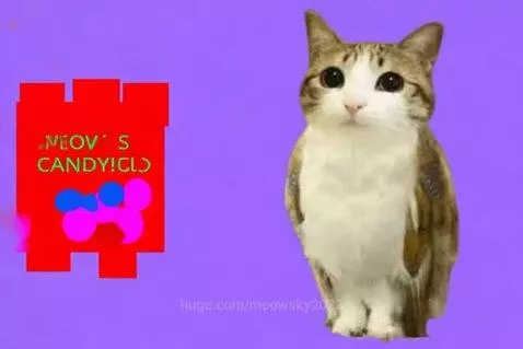 Animated cute cat-like creature with large eyes and tabby markings, standing on a purple background next to 'Meowls Candy!' text.