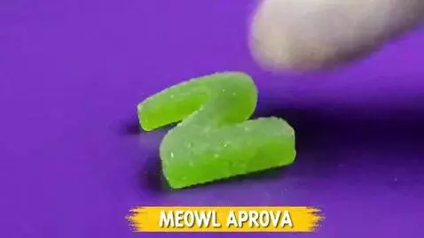Tabby and white cat happily eating a green gummy candy shaped like a number.