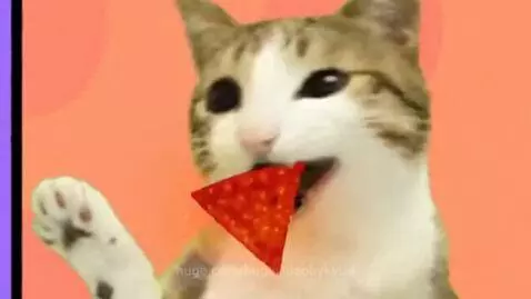 Animated tabby and white cat happily eating triangular chips that change color from red to sparkling blue.