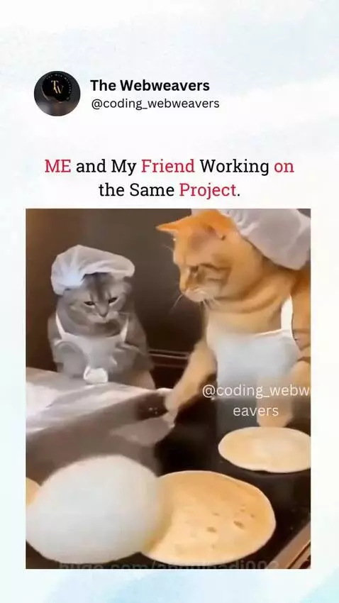 Two cats dressed as chefs, one flipping flatbreads, the other observing, covered in flour.