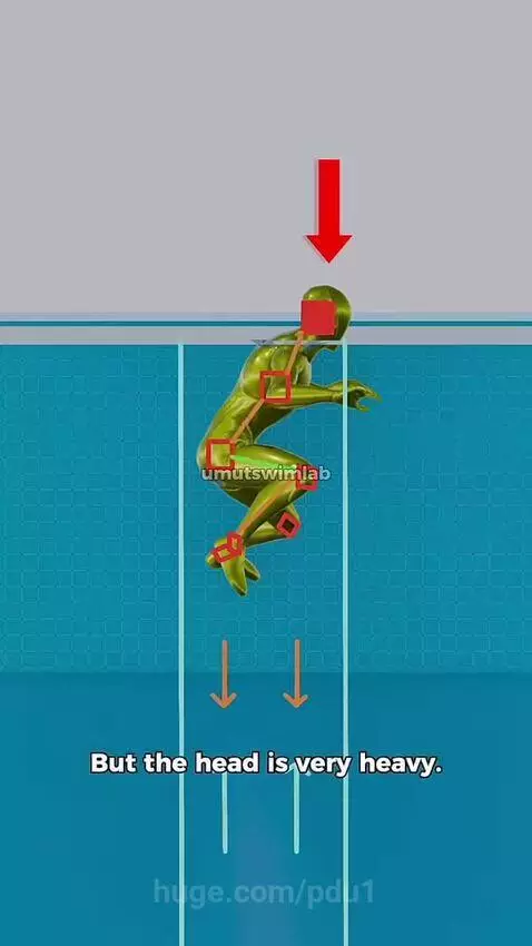 Animated models demonstrating buoyancy principles for swimming and preventing sinking.