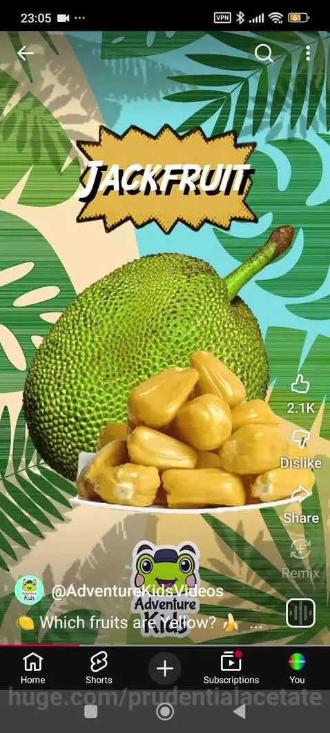 Collage of various yellow fruits like bananas, pineapple, lemon, and mango against a colorful animated background.