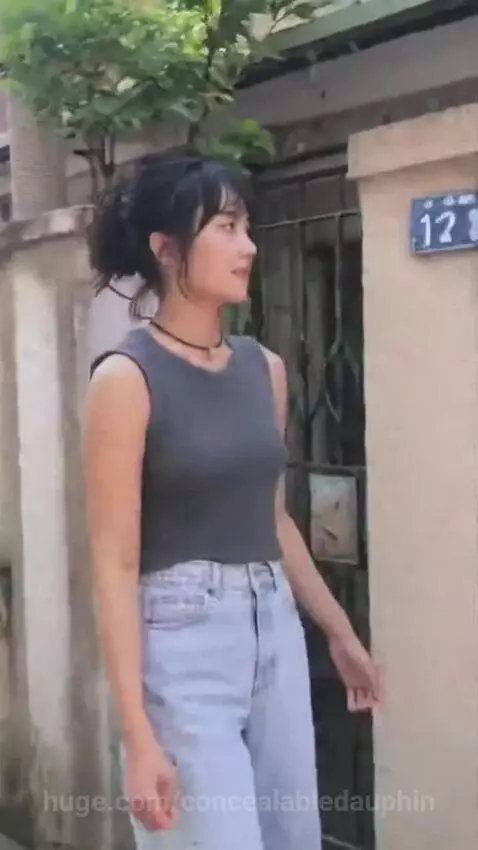 5.Korean Neighborhood Walk DV Video by concealabledauphin